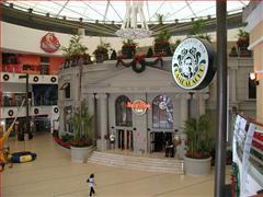 Hard Rock Cafe