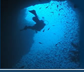 Chico's Dive Shop