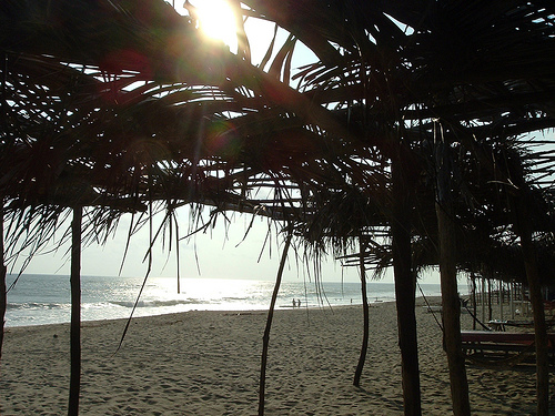 Jungle Tour Acapulco